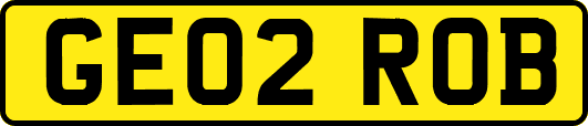 GE02ROB