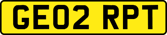 GE02RPT