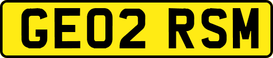 GE02RSM