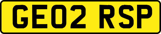 GE02RSP