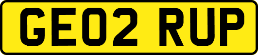 GE02RUP