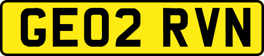 GE02RVN