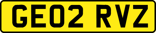 GE02RVZ
