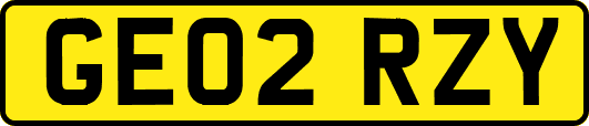 GE02RZY
