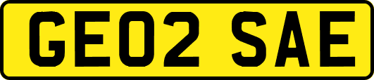 GE02SAE