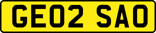 GE02SAO
