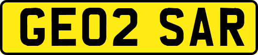 GE02SAR