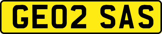 GE02SAS
