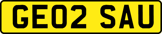 GE02SAU