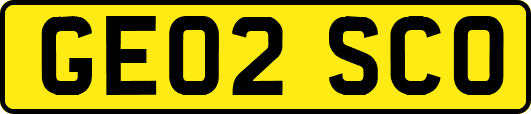 GE02SCO