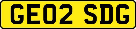 GE02SDG