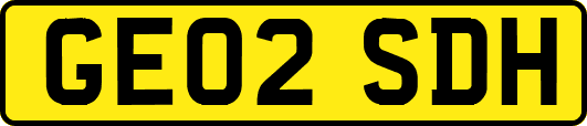 GE02SDH
