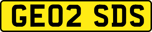 GE02SDS