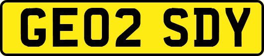 GE02SDY