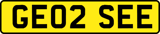GE02SEE