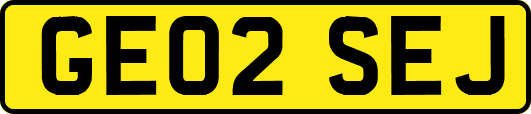 GE02SEJ