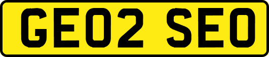 GE02SEO