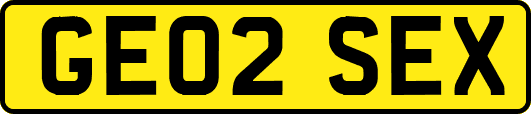GE02SEX