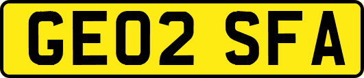 GE02SFA