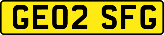 GE02SFG