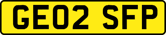 GE02SFP