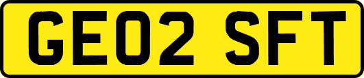 GE02SFT