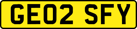 GE02SFY
