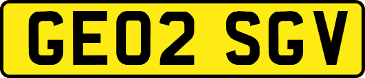 GE02SGV