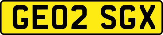 GE02SGX