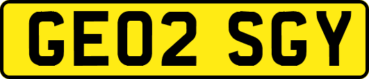 GE02SGY
