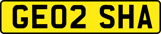 GE02SHA