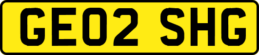 GE02SHG