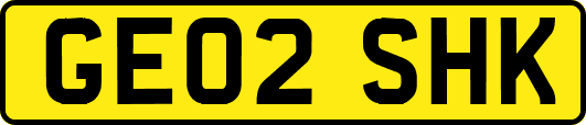 GE02SHK