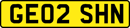 GE02SHN