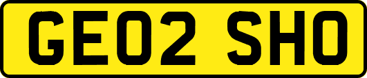 GE02SHO