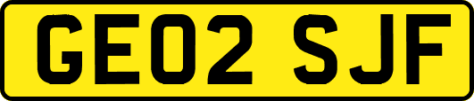 GE02SJF