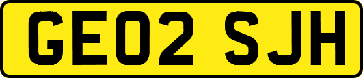 GE02SJH