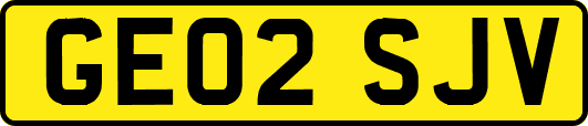 GE02SJV