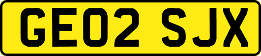 GE02SJX