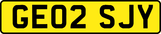 GE02SJY
