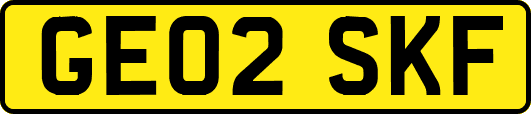GE02SKF