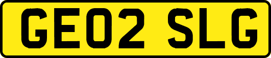 GE02SLG