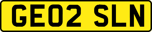 GE02SLN