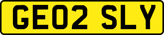 GE02SLY