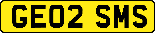 GE02SMS