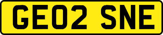 GE02SNE