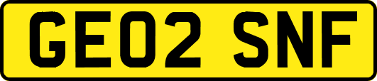 GE02SNF