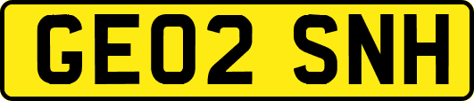GE02SNH