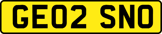 GE02SNO