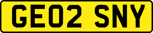GE02SNY